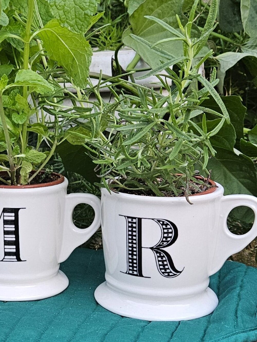 Anthropologie Monogram Mug (a.k.a. Mr. Mug) "R"